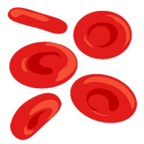 PNG rote Blutzellen