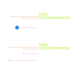 PNG Chromomosom